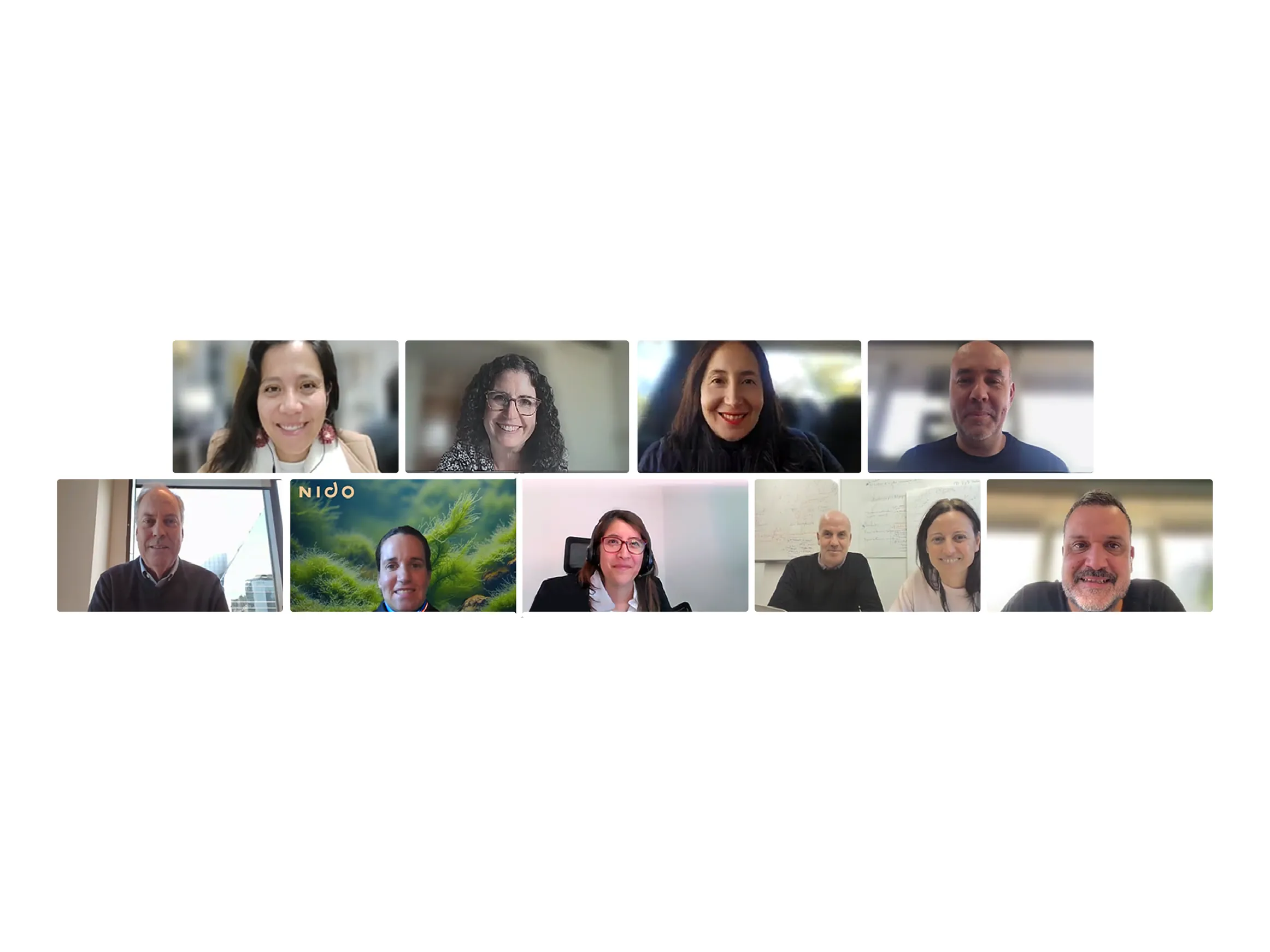 Integrantes del Consejo Directivo de CIMAC en una reunión virtual