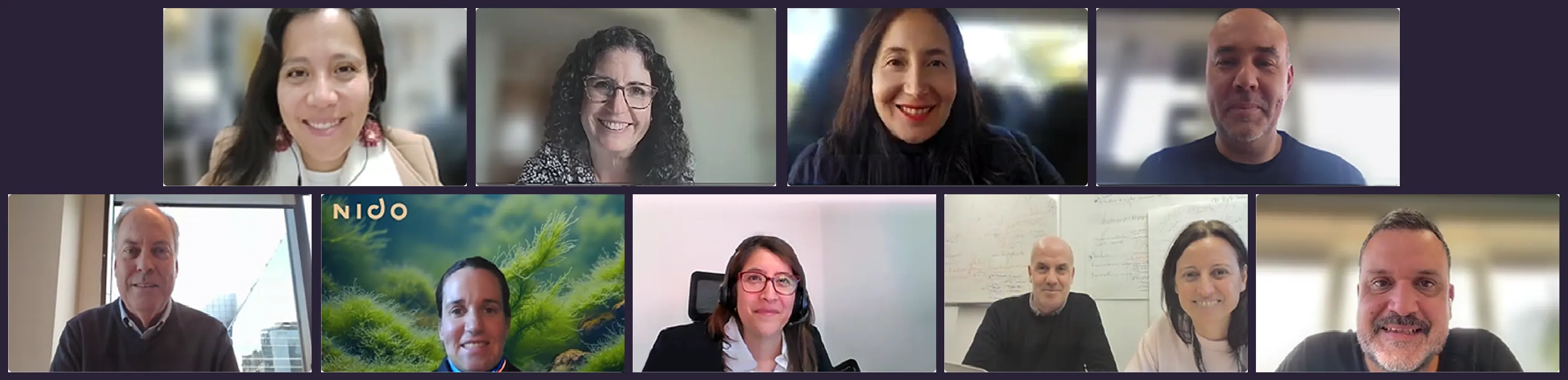 Integrantes del Consejo Directivo de CIMAC en una reunión virtual